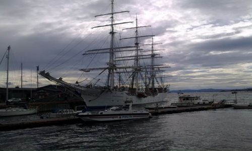 Zdjecie NORWEGIA / Centrum / Oslo / Policja