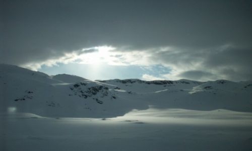 Zdjecie NORWEGIA / - / paskowy Hardangervidda / 