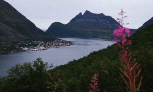 Zdjęcie NORWEGIA / bergen / bergen / Fiord