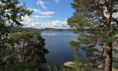 Zdjecie NORWEGIA / Troldhaugen /  Muzeum Edwarda Griega / Inspiracje