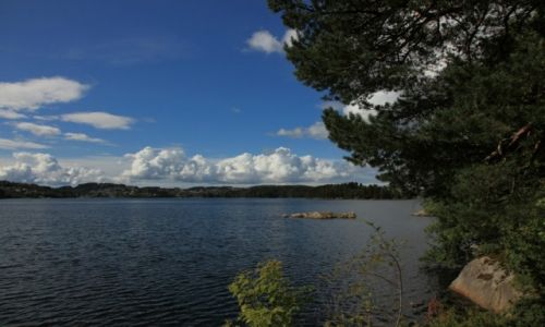 Zdjcie NORWEGIA / Bergen / Troldhaugen / Inspiracje Edwarda Griega