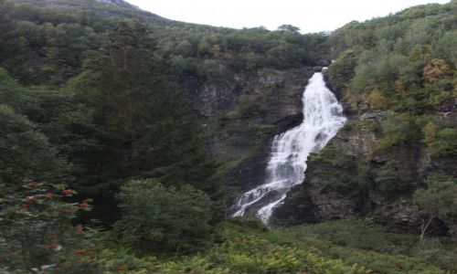 Zdjcie NORWEGIA / Z Flam do Gudvangen / Naerofjord / Jeden z tysica