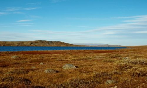 Zdjcie NORWEGIA / Hardanger / Hardangervidda / Narodowy Szlak Turystyczny Hardangervidda