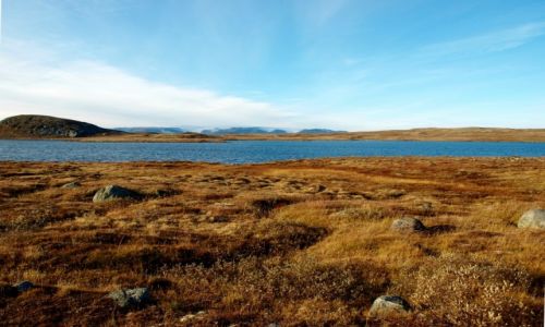 Zdjcie NORWEGIA / Hardanger / Hardangervidda / Hardangervidda