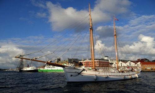 Zdjecie NORWEGIA / Rogaland / Stavanger / aglowiec