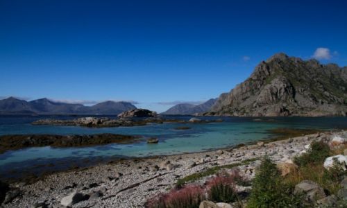 Zdjcie NORWEGIA / Lofoty zachodnie / Ballstad / Lofoty