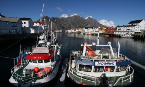 Zdjcie NORWEGIA / Lofoty zachodnie / Hennigsvaer / Lofoty