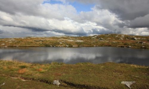 Zdjecie NORWEGIA / Bergen / Bergen / Urliken / Spacer z widokami