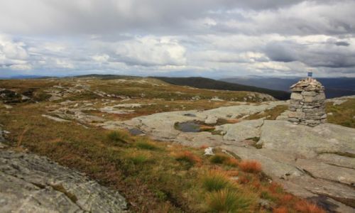 Zdjecie NORWEGIA / Bergen / Urliken / Spacer z widokami