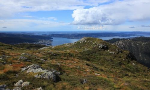 Zdjecie NORWEGIA / Bergen / Urliken / Spacer z widokami