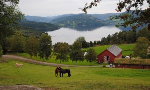Zdjcie NORWEGIA / Inherred / Ytter Gard / Randka nad fiordem 