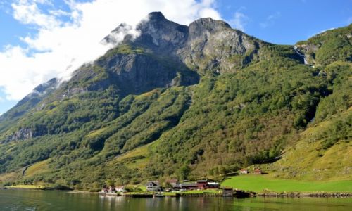 Zdjcie NORWEGIA / zach Norwegia / Bergen / Songnefjord
