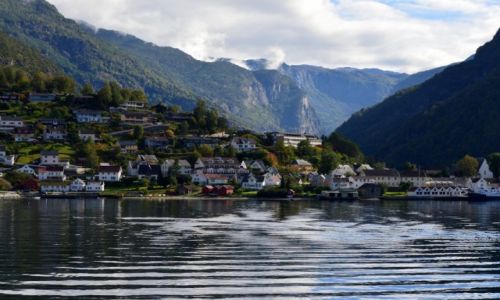 Zdjcie NORWEGIA / zach Norwegia / okolice Bergen / Sognefjord