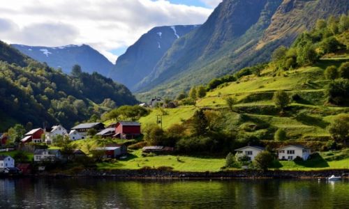 Zdjecie NORWEGIA / zach Norwegia / okilice Bergen / Sognefjord