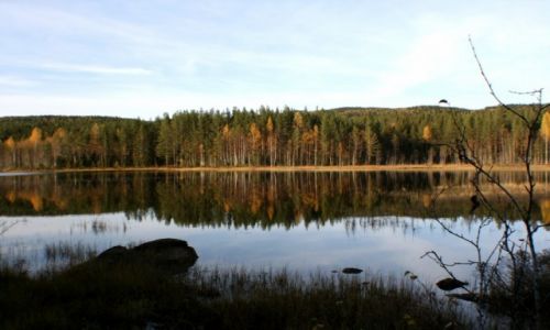 Zdjęcie NORWEGIA / Oppland / Lunner / Harestuvatnet