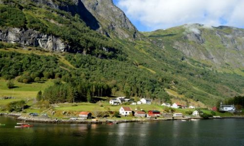 Zdjcie NORWEGIA / zach Norwegia / okolice Bergen / Sognefjorden