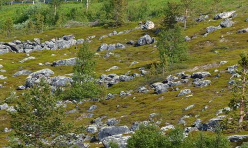 Zdjcie NORWEGIA / Laponia / Alta / Alta ujcie 2