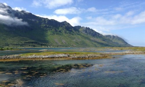Zdjcie NORWEGIA / - / Lofoten / Wakacje