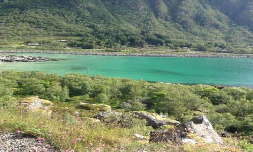 Zdjcie NORWEGIA / - / Lofoten / Wakacje