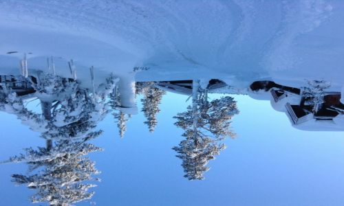Zdjecie NORWEGIA / - / Kvitfjell / Zima w Norwegi