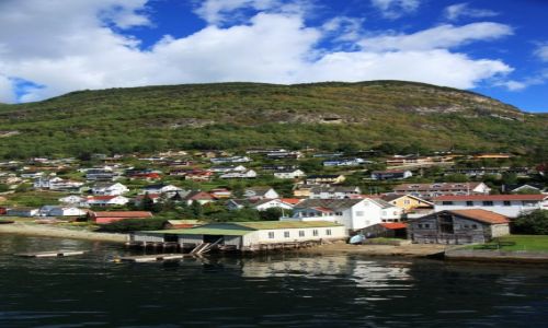 Zdjęcie NORWEGIA / Sogn og Fjordane / Aurlandsvangen / Na zboczu