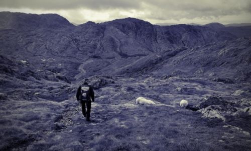 Zdjęcie NORWEGIA / Hordaland / Gullfjellet / W drodze na szszyt Gullfjellet