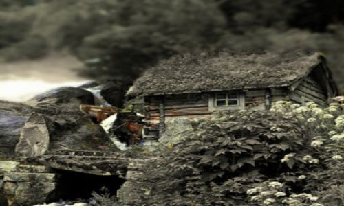 Zdjęcie NORWEGIA / południowo-zachodnia Norwegia / Hellesylt / domek przy fiodzie Geiranger