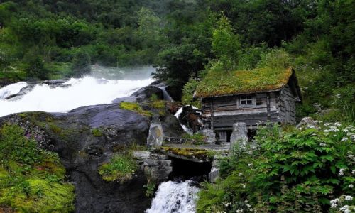 Zdjęcie NORWEGIA / Południowa Norwegia / Hellesylt / domek przy fiodzie Geiranger..