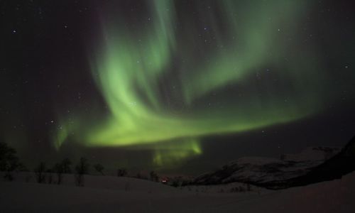 Zdjecie NORWEGIA / Arktyka / Kvaloya / Konkurs 
