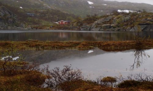 Zdjcie NORWEGIA / Laponia / okolice Narviku / okolice Narviku
