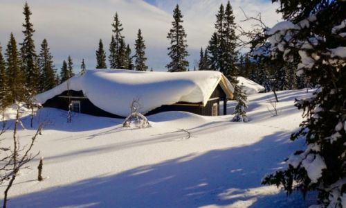 Zdjcie NORWEGIA / Hedmark / Trysil / ZIMA