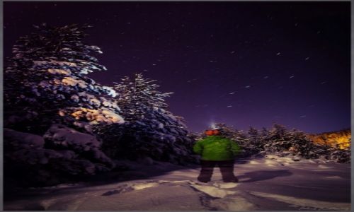 Zdjecie NORWEGIA / Hordaland / Gullbotn / Duch