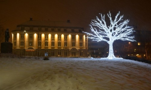 Zdjęcie NORWEGIA / Tromso / Centrum miasta Tromso / świetlne drzewko