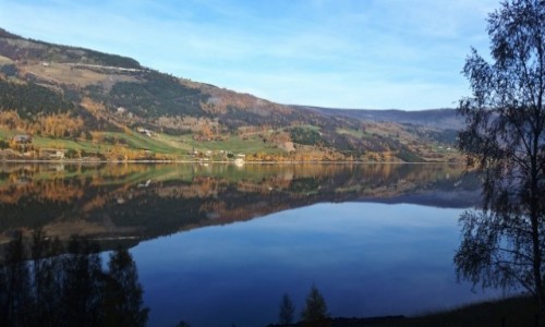 Zdjęcie NORWEGIA / Sogn og Fjordane / po drodze... / po drodze...