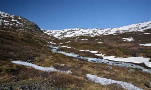 Zdjcie NORWEGIA / Sogn og fiordne / Aurland / wiosna...