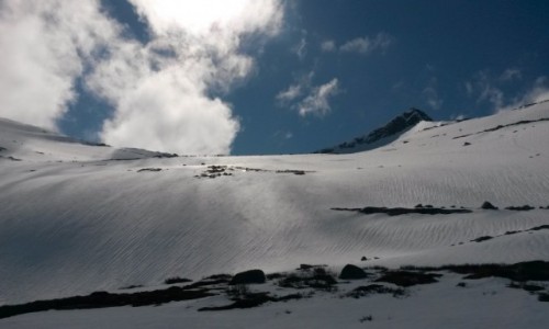 Zdjcie NORWEGIA / Troms / Tjeldøya / Tjeldøya