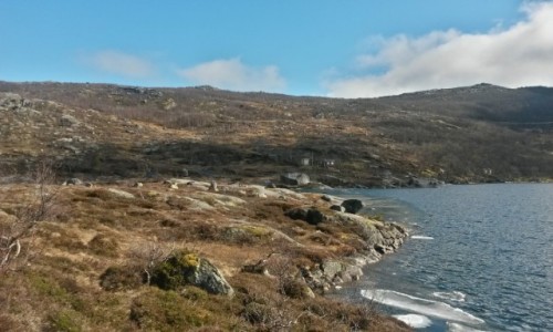 Zdjcie NORWEGIA / Troms / Tjeldøya / Tjeldøya2