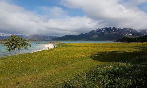 Zdjcie NORWEGIA / Lofoty / Digermulen / wiosna...