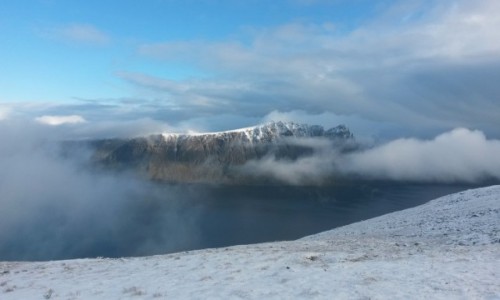 Zdjcie NORWEGIA / Trøms / Elgen / Elgen