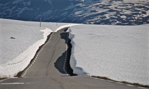 Zdjecie NORWEGIA / Sogn og Fjordane / Aurland / wiosna...