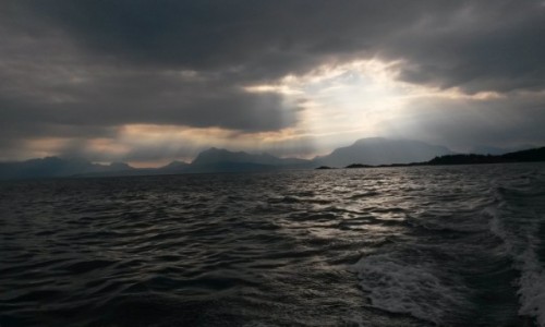Zdjcie NORWEGIA / Trøms / koo Harstad / na Fjordzie