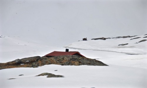 Zdjcie NORWEGIA / Sogn og Fjordane / Dalsnimba / wiosna...
