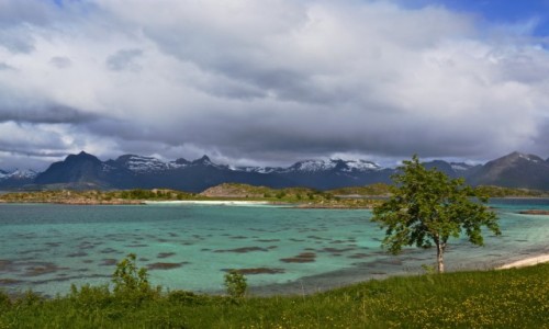 Zdjcie NORWEGIA / Nordland / Digermulen / Wiosna...