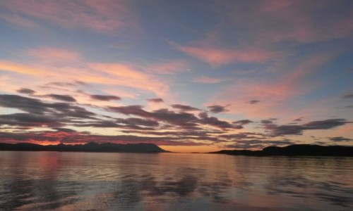Zdjęcie NORWEGIA / Troms / W pobliżu Harstad / Złodzi