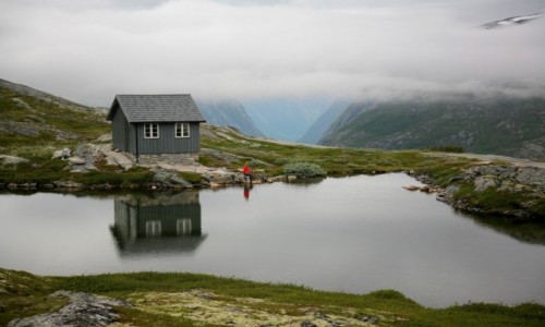 Zdjecie NORWEGIA / Møre og Romsdal / Aursjøvegen / Przy drodze Aursjøvegen