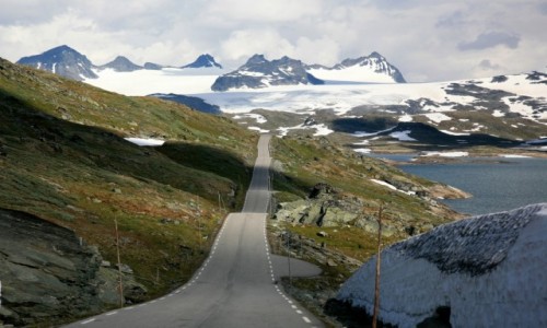 Zdjecie NORWEGIA / Oppland / Bøverdalen / Traffic jam :-)