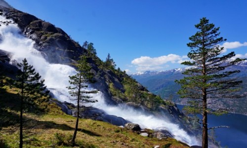 Zdjecie NORWEGIA / Hordaland / W okolicach Oddy / Langefossen 