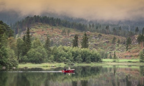 Zdjecie NORWEGIA / pn. Norwegia / pn. Norwegia / Popoudniowy relaks