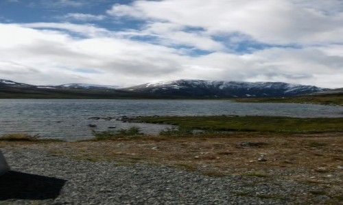 Zdjcie NORWEGIA / - / okolice Grotli / paskowy