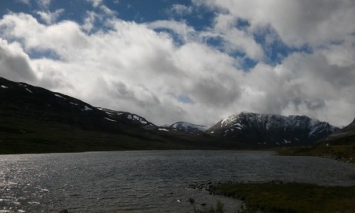Zdjecie NORWEGIA / - / oklice Grotli / paskowy